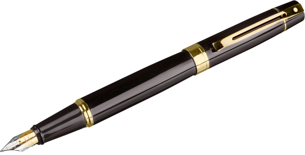 Elegant Fountain Pen 